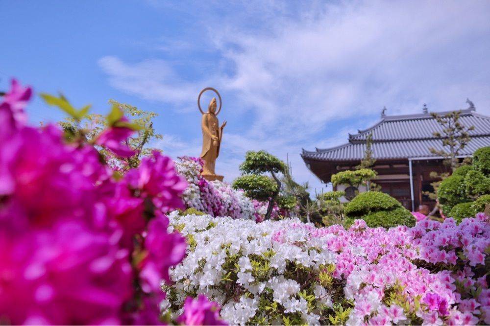 satomi24さんが投稿した法雲禅寺に関する口コミの画像