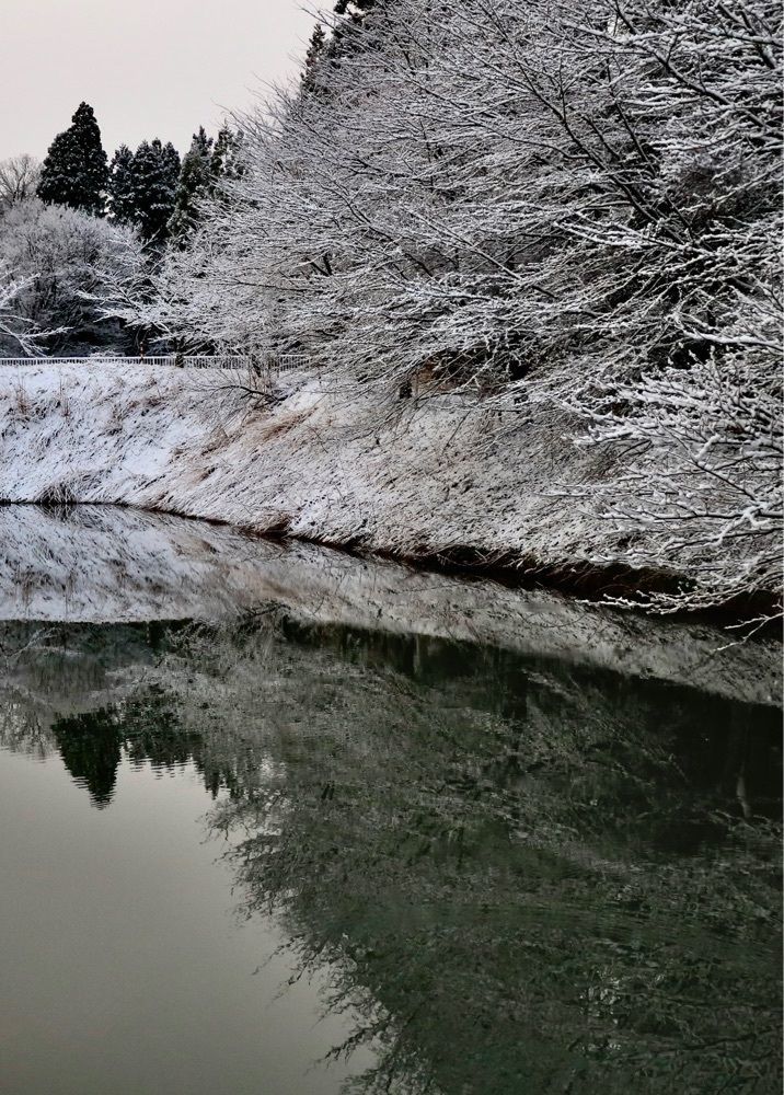 taka_wildflowerさんが投稿した富山市に関する口コミの画像