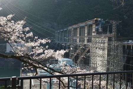 秋葉ダム 3枚目