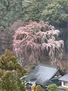 身延山久遠寺宝物館