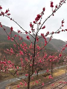 神戸駅（わたらせ渓谷鐵道） 4枚目