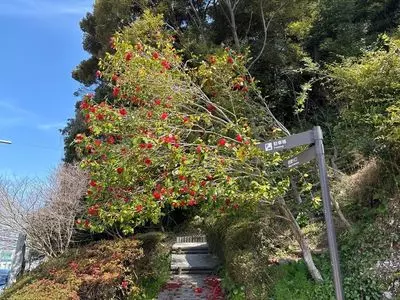 濃霞山公園