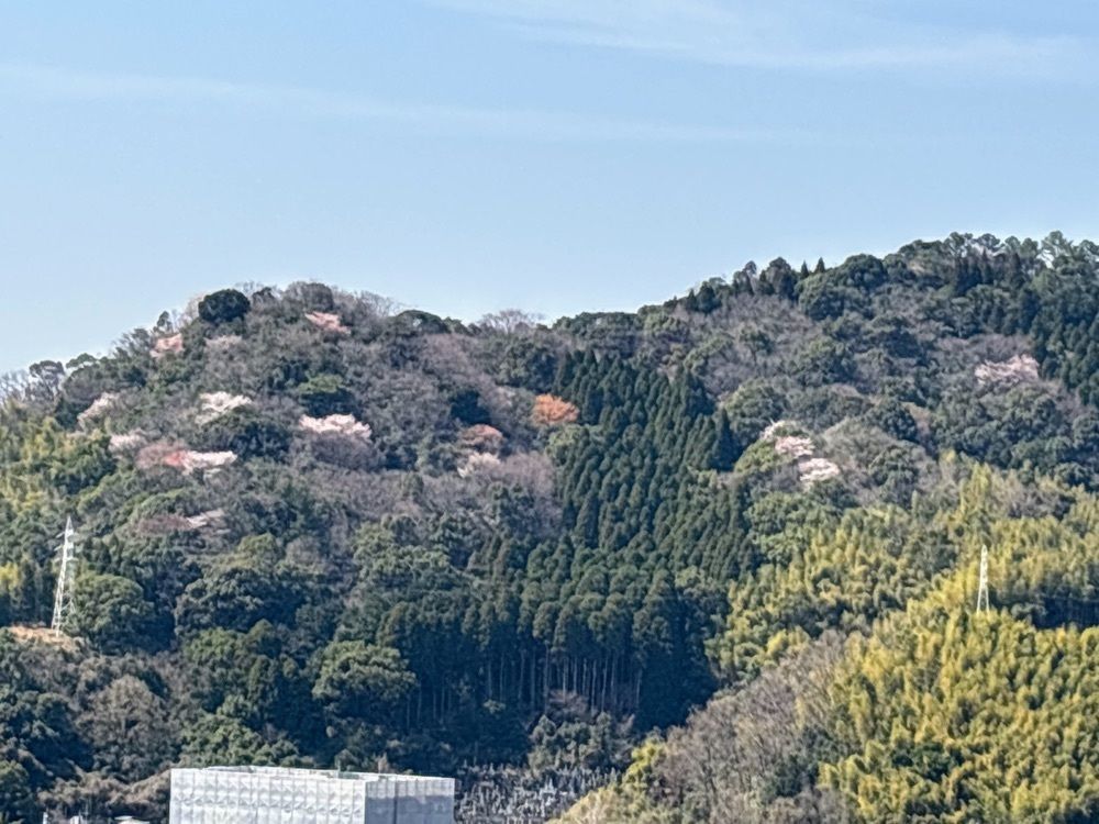 formal_cafeteria_8688さんが投稿した濃霞山公園に関する口コミの画像