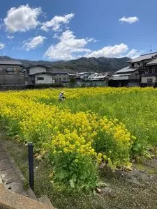 曼殊院