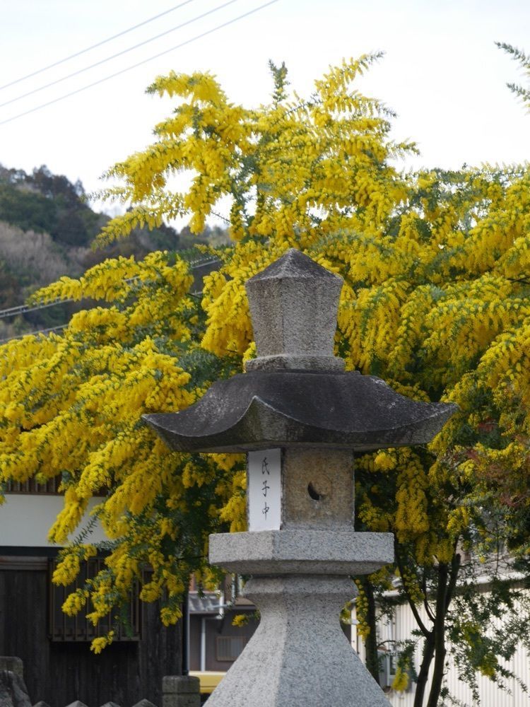 フラミンゴさんが投稿したこうでら温泉竹取の湯香寺荘に関する口コミの画像