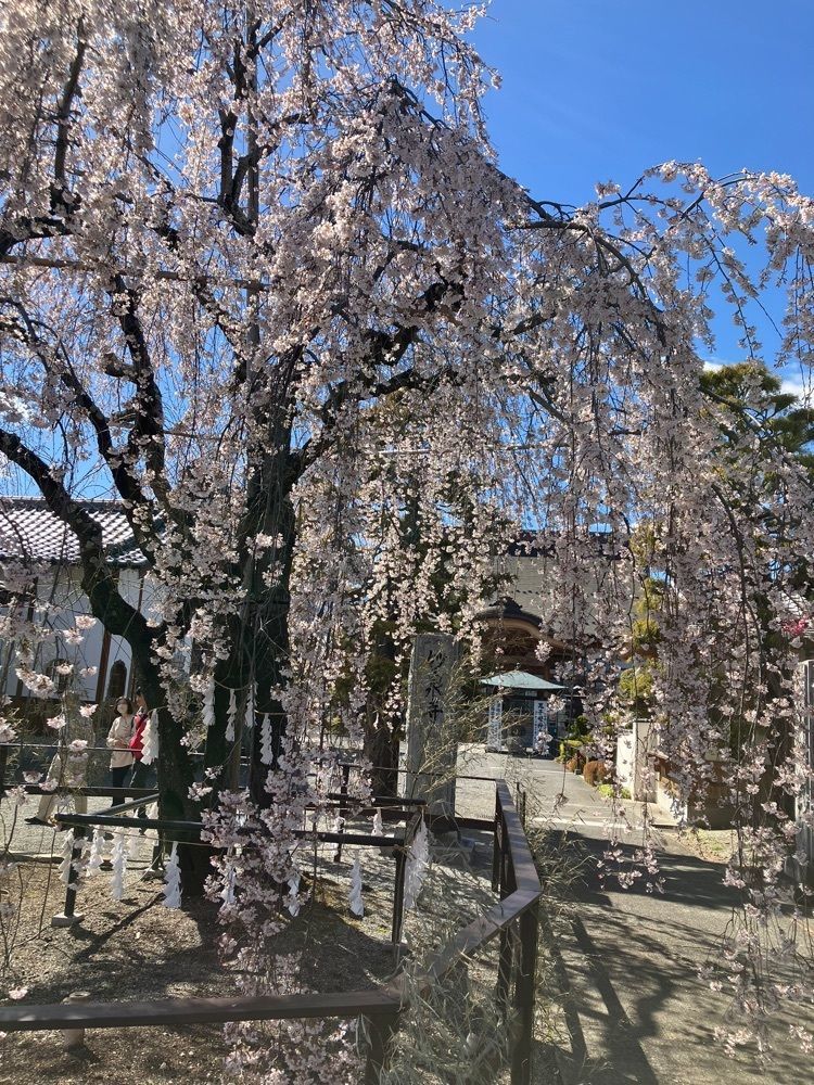 Nさんが投稿した中央市に関する口コミの画像
