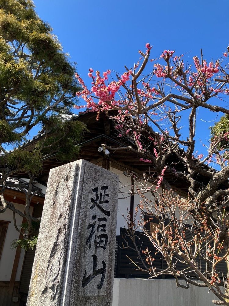 Nさんが投稿した中央市に関する口コミの画像