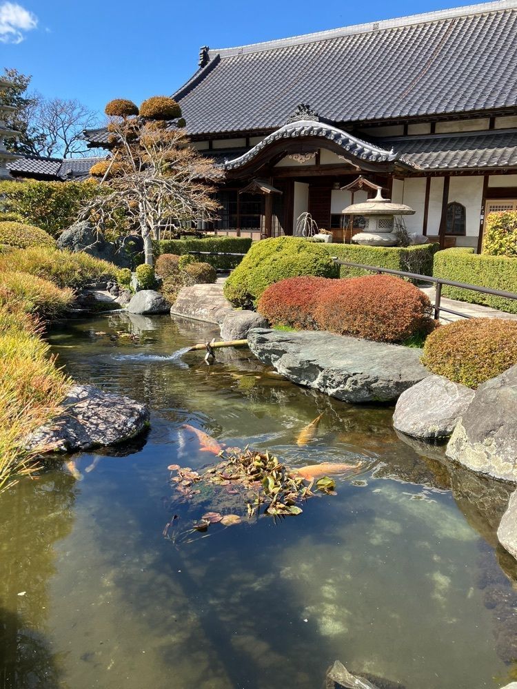 Nさんが投稿した中央市に関する口コミの画像