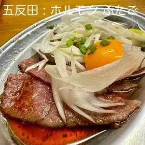 大阪焼肉・ホルモン ふたご 五反田東口店