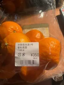 魚盛水産 道の駅海南サクアス店