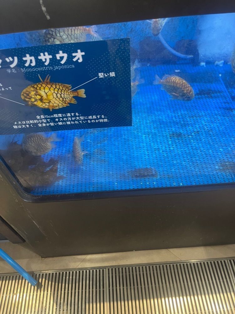 たかジィーさんが投稿した魚盛水産 道の駅海南サクアス店に関する口コミの画像