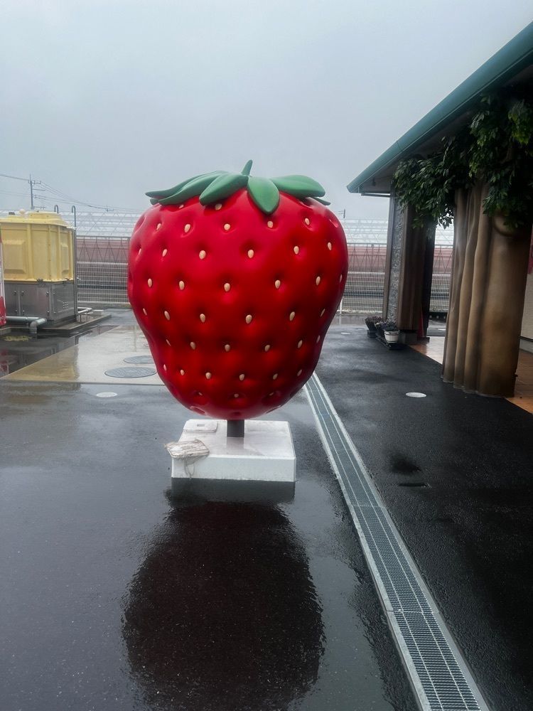 サブ&クルさんが投稿したビーマイベリー（Bee my Berry）に関する口コミの画像