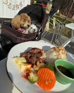 BEER&CAFE つるま食堂