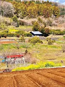大井松田乗馬クラブ