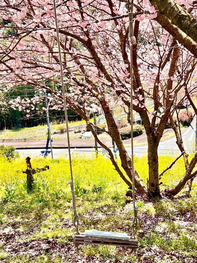ビンカさんが投稿した大井松田乗馬クラブに関する口コミの画像