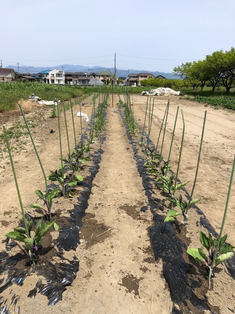 take.aさんが投稿した画像の画像