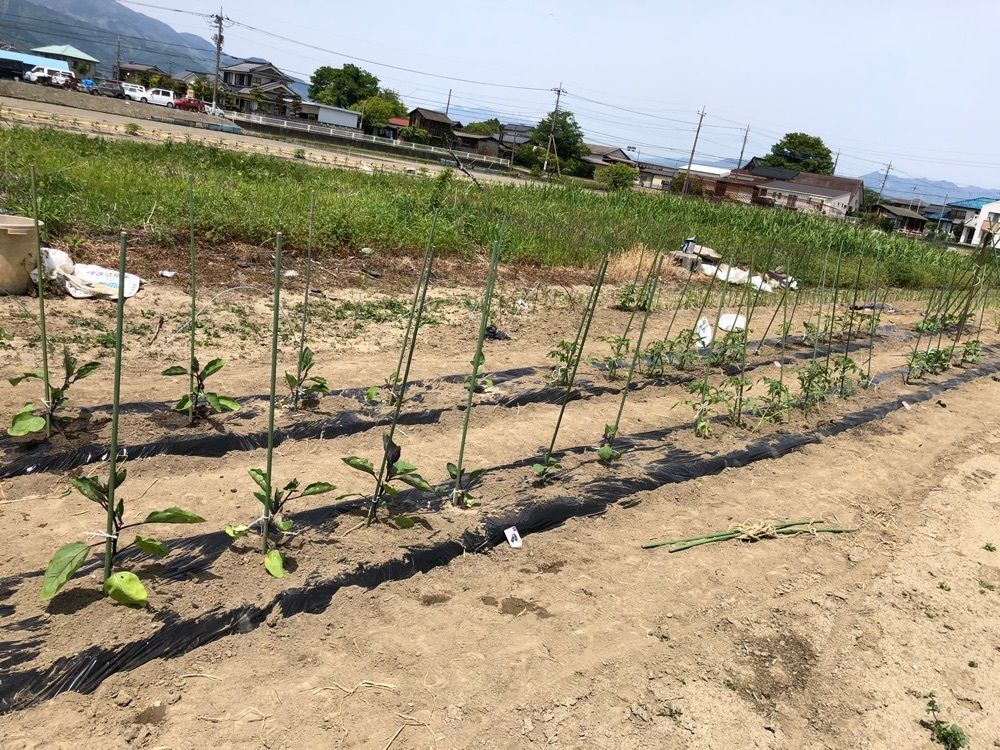 take.aさんが投稿した画像の画像