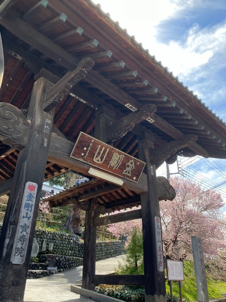 Nさんが投稿した宝寿院枝垂桜に関する口コミの画像