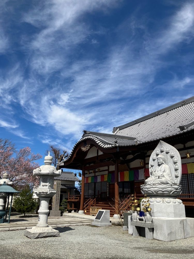 Nさんが投稿した宝寿院枝垂桜に関する口コミの画像