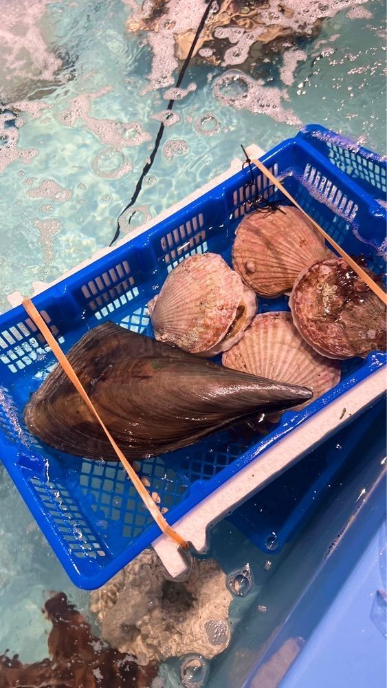 miiさんが投稿した水長水産（Mizucho）に関する口コミの画像