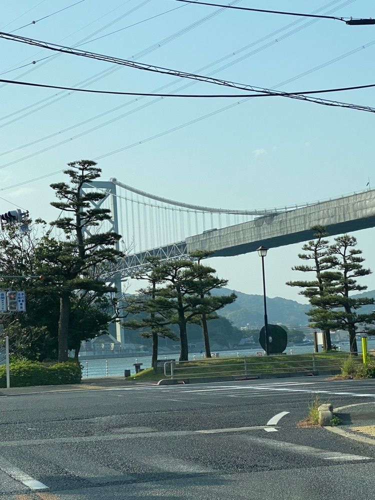 かめ_メグミさんが投稿した市場食堂 よし（よし）に関する口コミの画像