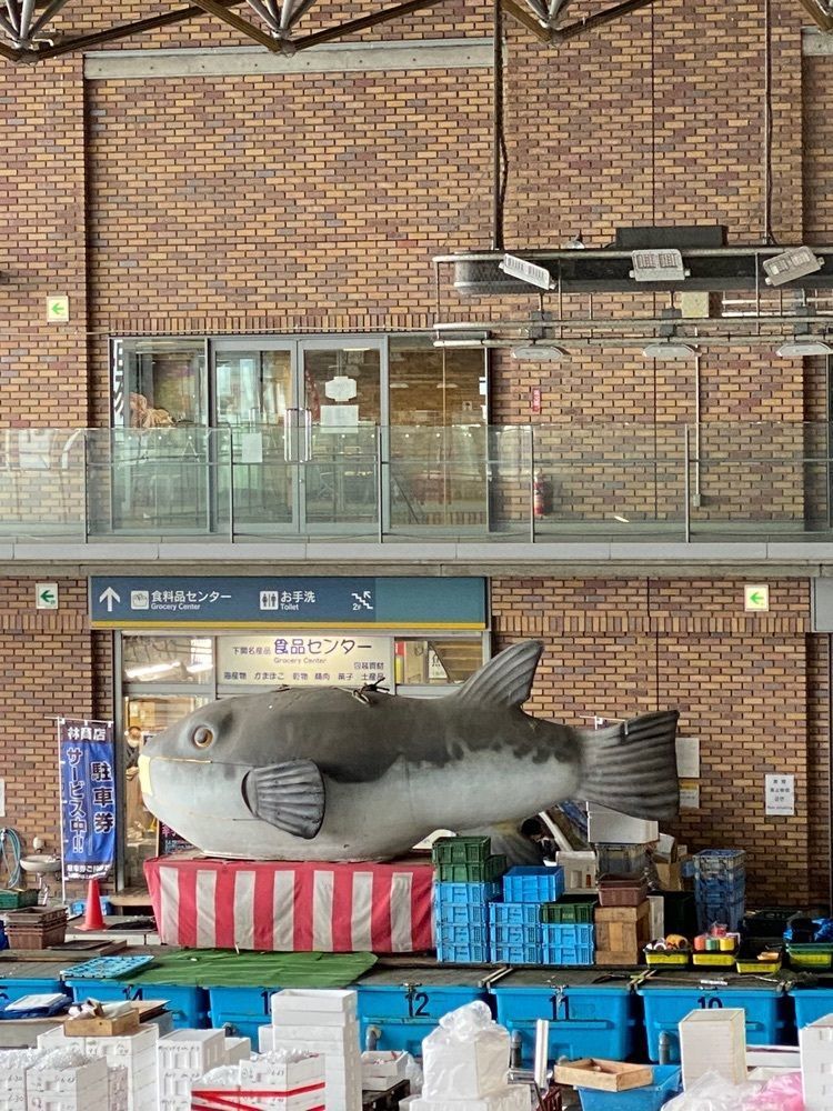 かめ_メグミさんが投稿した市場食堂 よし（よし）に関する口コミの画像