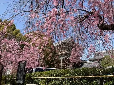 東別院（名古屋別院）