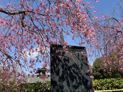 東別院（名古屋別院） 5枚目