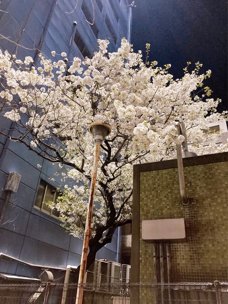 nikaido⑅◡̈mさんが投稿した珈琲茶館　集 新宿店に関する口コミの画像
