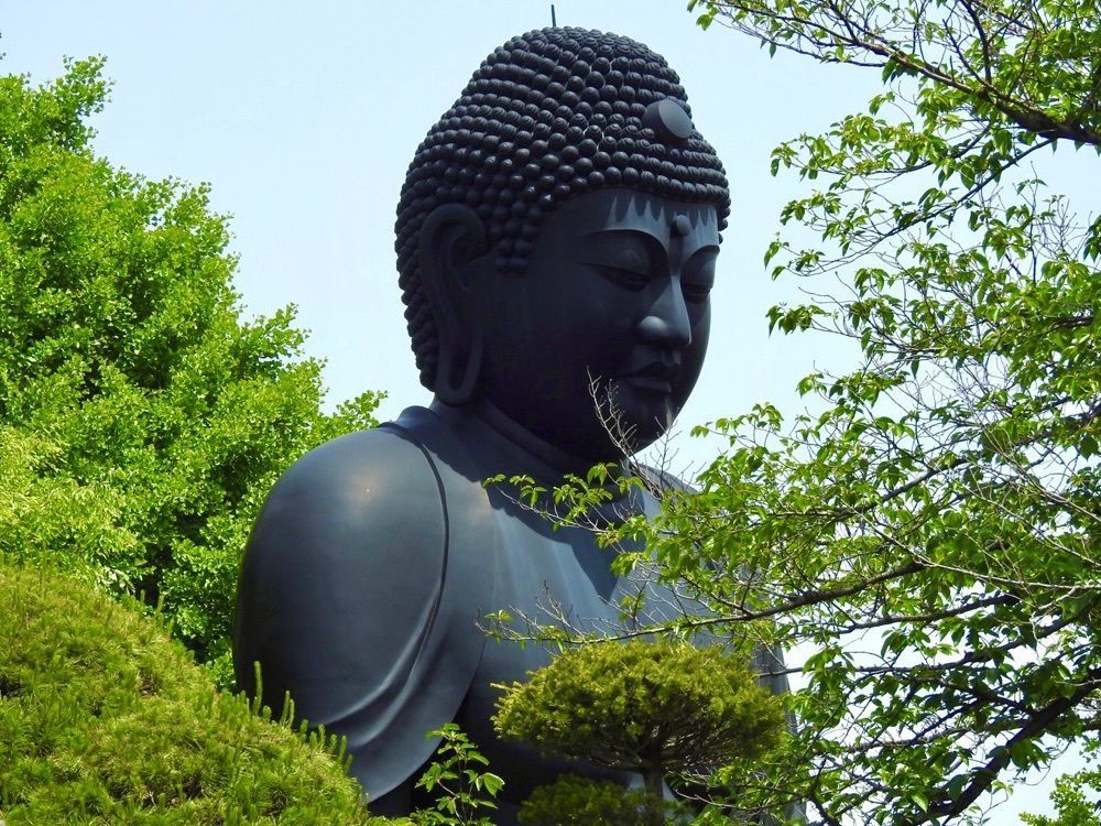 junkunさんが投稿した乗蓮寺に関する口コミの画像