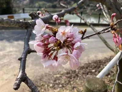 種松山公園西園地