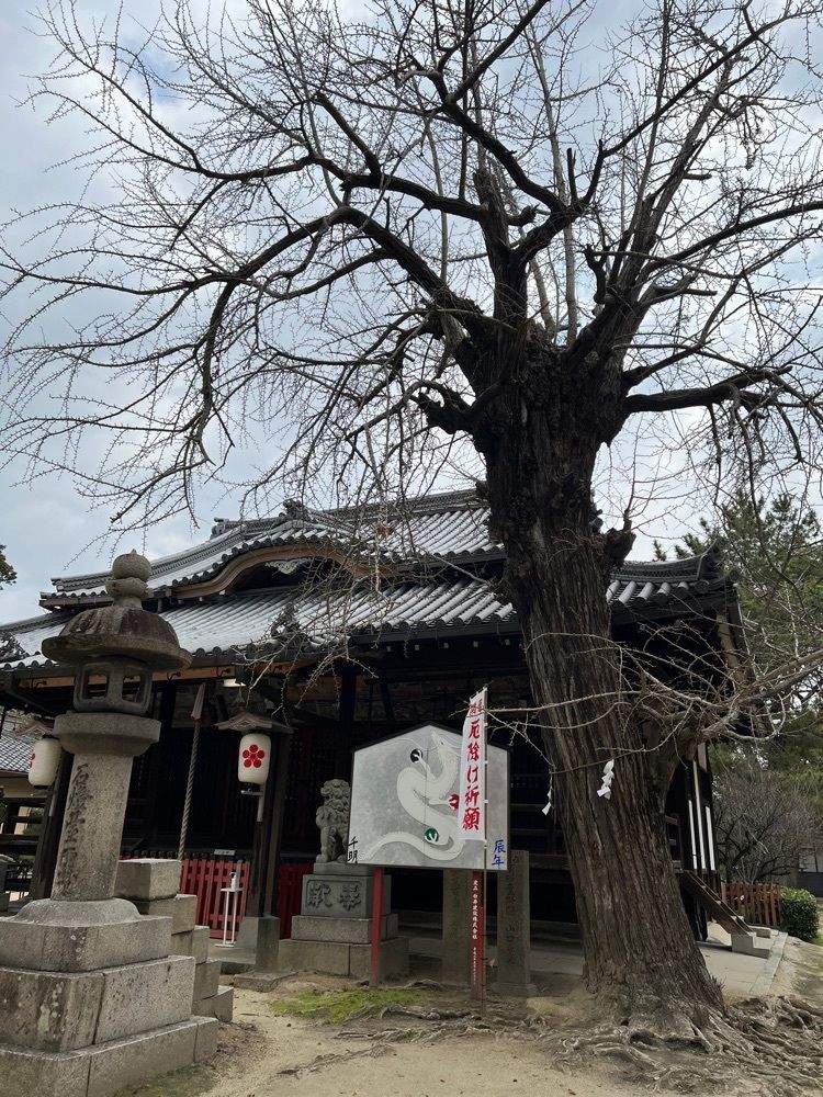 himbaさんが投稿した来迎寺（守口市）に関する口コミの画像