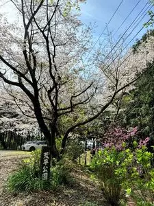 荒平公園