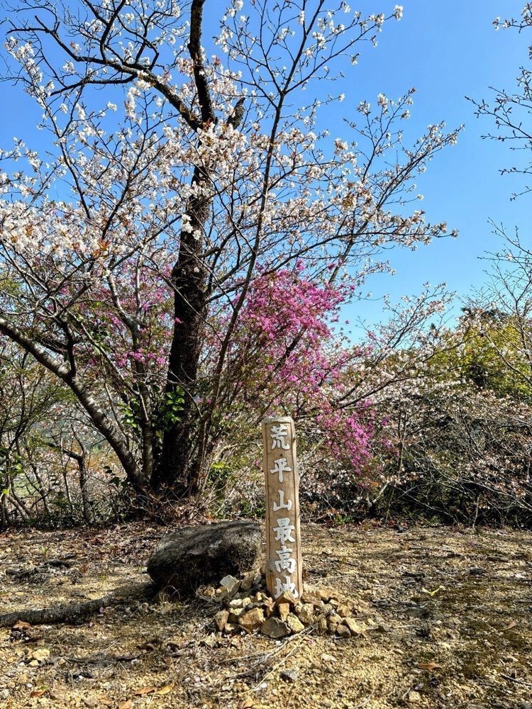 formal_cafeteria_8688さんが投稿した荒平公園に関する口コミの画像