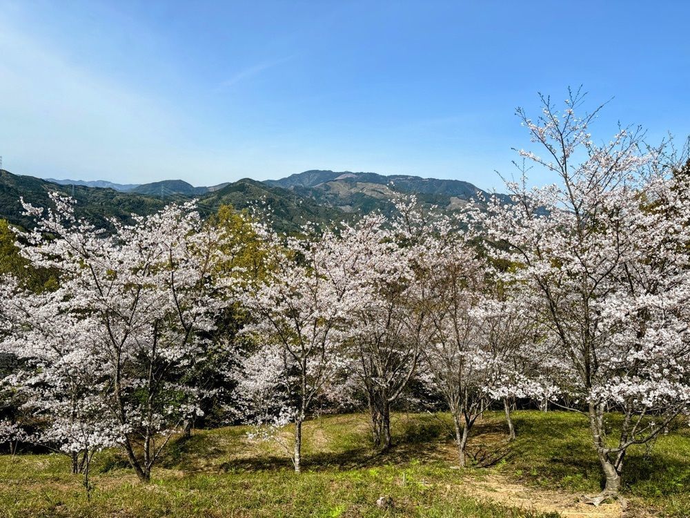formal_cafeteria_8688さんが投稿した荒平公園に関する口コミの画像
