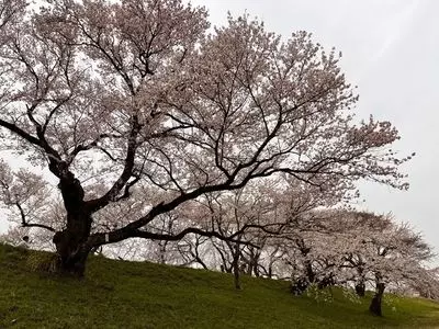一宮市総合体育館