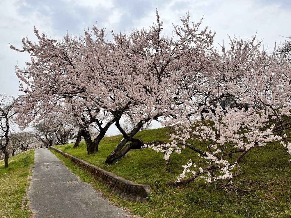 kawatyuさんが投稿した一宮市総合体育館に関する口コミの画像