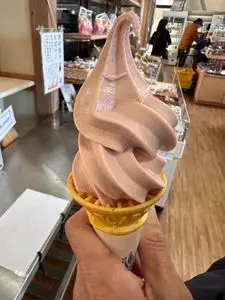道の駅 みょうぎ