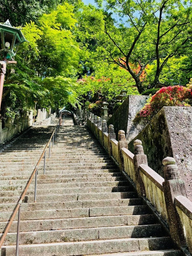 みぃさんが投稿した箸蔵寺に関する口コミの画像
