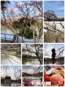 千葉公園
