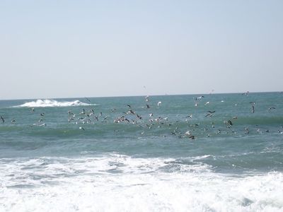 伊良湖岬灯台 8枚目