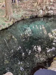 泉神社