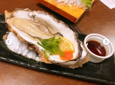 龍のおとし子 安城店