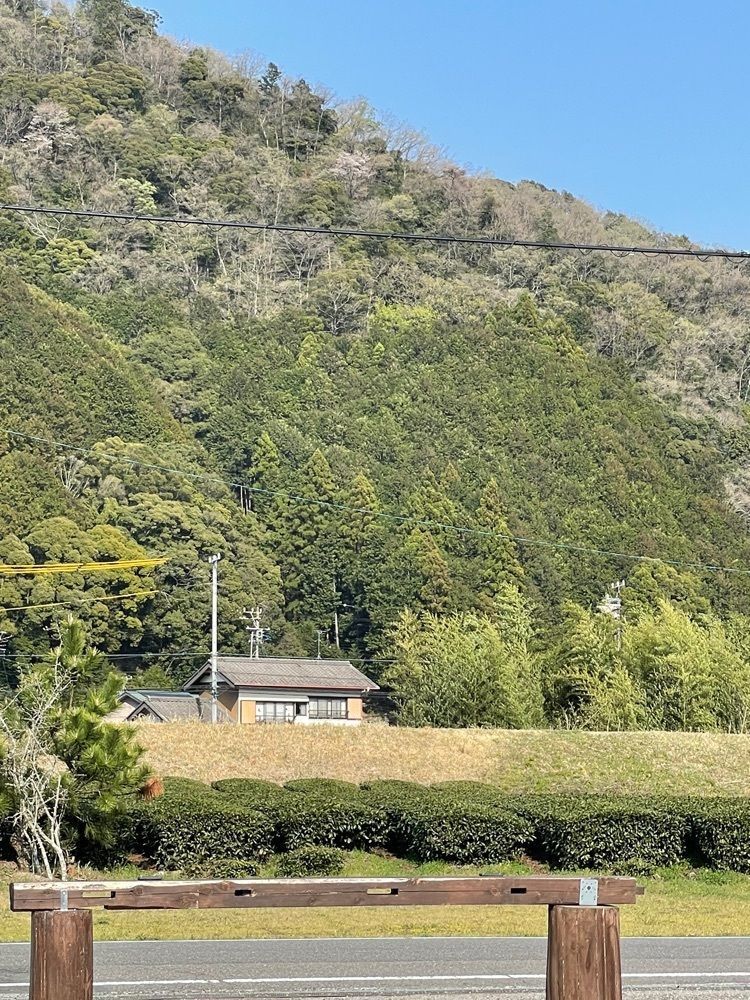 hirokororinさんが投稿した足久保ティーワークス（足久保TEAWORKS）に関する口コミの画像