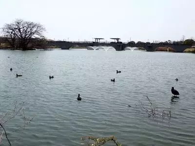 幸公園