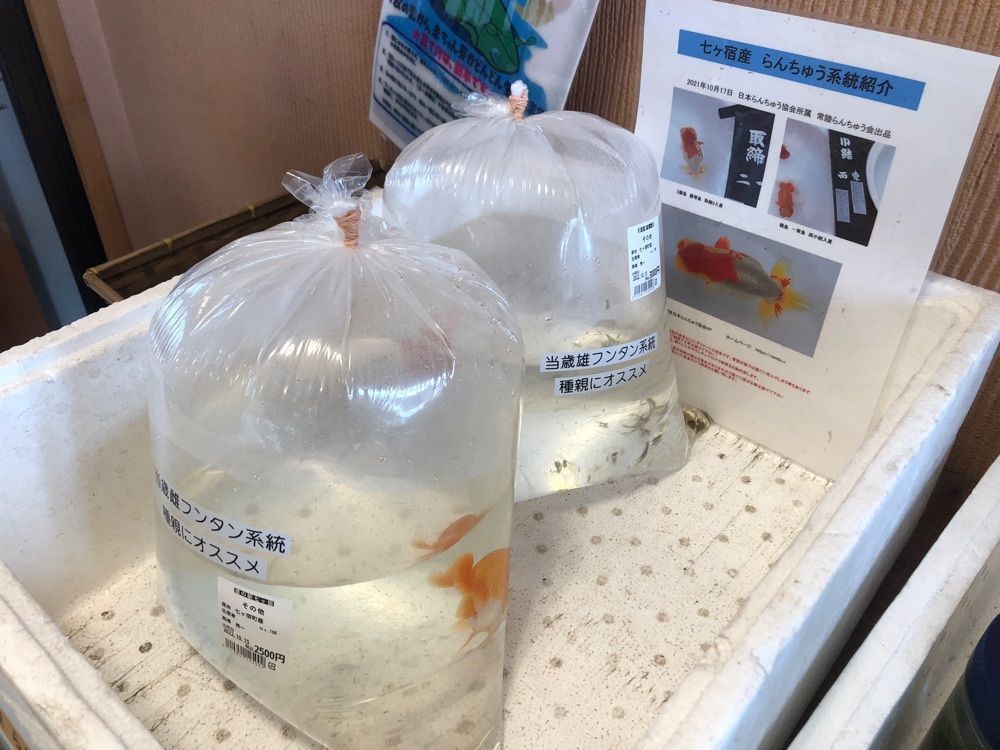 ma_daさんが投稿した道の駅 七ヶ宿に関する口コミの画像