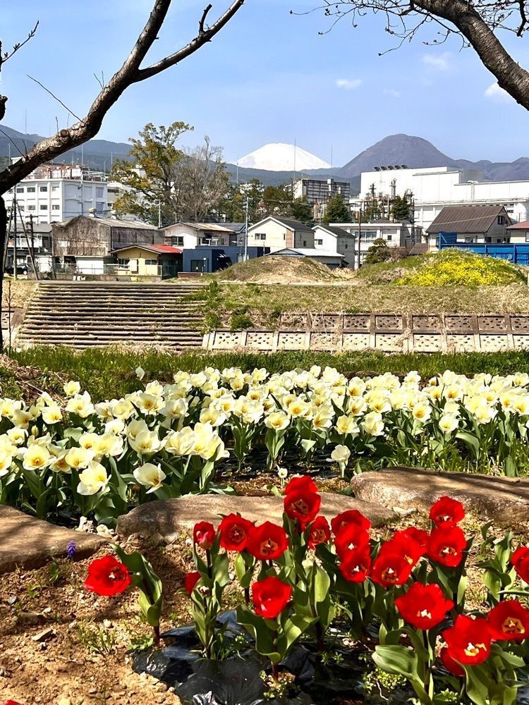 ビンカさんが投稿したおりえんす珈琲（oriens珈琲）に関する口コミの画像