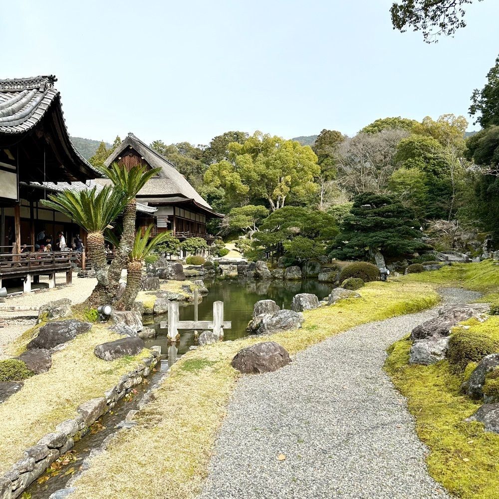 kumakentoraさんが投稿した醍醐寺の桜に関する口コミの画像