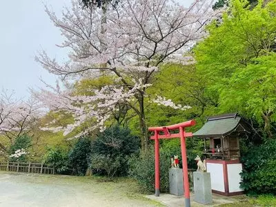 油山観音正覚寺