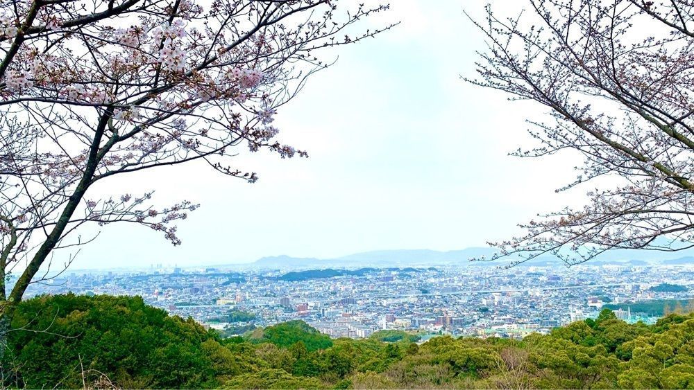 ライさんが投稿した油山観音正覚寺に関する口コミの画像